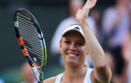 Wozniacki đại chiến nhà vô địch Rogers Cup ở bán kết