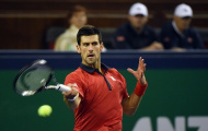 'Trai hư' Tomic liệu có ngăn được Djokovic?