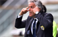 Donadoni nhận việc ở Bologna, Mihajlović bớt lo