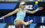 Isner, Wozniacki chốt lịch đến Auckland