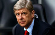 Một bông hồng dành cho Giáo Sư Wenger