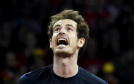 Murray lọt đề cử 'Nhân vật thể thao của năm'