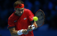 Ferrer lần thứ sáu vào bán kết Auckland