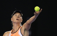 Sharapova đại chiến Serena ở tứ kết
