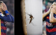 Barcelona sợ virus Zika tấn công Suarez và Neymar