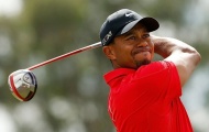 Tiger Woods khó giành thêm danh hiệu Major