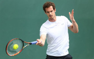 Murray đại chiến 'tiểu Federer' ở vòng ba