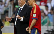 Del Bosque chào đón Torres trở lại đội tuyển Tây Ban Nha