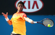 Fernando Verdasco thăng hoa