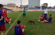 Cầu thủ Thanh Hóa đá gà “căng nhất Vịnh Bắc bộ”