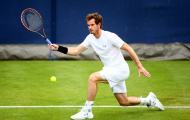 Andy Murray gặp Milos Raonic ở chung kết