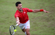 Djokovic nhận trận thua đầu tiên trên sân cỏ