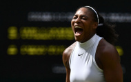 Vesnina - Serena: Khi người đẹp đối đầu 'khủng long'