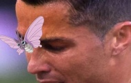 Ảnh vui về chú bướm đậu trên mặt Ronaldo