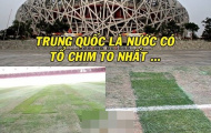 Ảnh chế: Trung Quốc trình làng ‘Tổ Chim’ thế hệ mới; Mourinho chờ đợi Pogba trong vô vọng