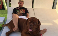 Messi khoe chó khổng lồ dọa trộm