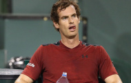 Tuyển Anh đứng trước nguy cơ mất Murray tại Davis Cup