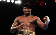Sau Fury, đến lượt 'King Kong' khinh thường 'vua của các vị vua'