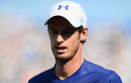 Murray sớm tái xuất sau cú sốc Aegon Championships