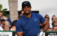 XÁC NHẬN: Tiger Woods vắng mặt ở PGA National