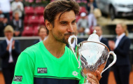 David Ferrer 'giải khát' danh hiệu sau 2 năm