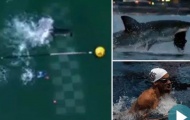 Video siêu kình ngư Phelps bơi kém cá mập đúng 2 giây