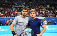 Dimitrov đại chiến tranh chức vô địch với Goffin