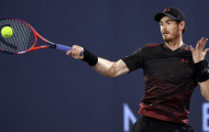 Thế chỗ Djokovic, Murray nếm trái đắng ở Abu Dhabi