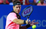 Video Zverev, Del Potro thẳng tiến vào bán kết Mexico Open 2018