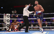 Knock-out Haye chóng vánh, Bellew cùng lúc gửi chiến thư đến 2 tay đấm khủng