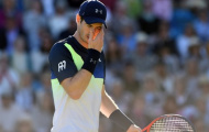 Wimbledon: Murray bất ngờ rút lui trước giờ G