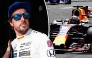 Red Bull phủ nhận việc lôi kéo Fernando Alonso