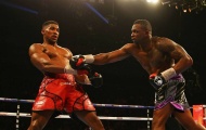 Anthony Joshua ra giá hơn 120 tỷ đồng để tái đấu với Dillian Whyte