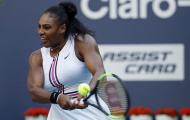 Serena Williams chấn thương đầu gối, rút lui khỏi Miami Open