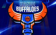 Hanoi Buffaloes trình làng logo mới trước thềm VBA 2019