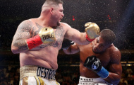 Anthony Joshua nên thay HLV