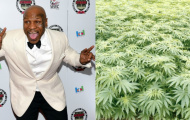 Huyền thoại Mike Tyson mở trang trại cần sa 40 mẫu
