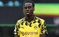 Chelsea bạo chi mua tiền đạo, liệu Pedro và Gittens có chỗ đứng?