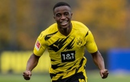 Youssoufa Moukoko rời Dortmund mở ra hy vọng mới tại Đan Mạch