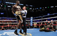 Wilder 'hủy diệt' kẻ thách thức, hẹn Joshua cho trận superfight