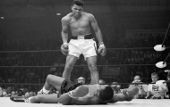 9 sự thật thú vị về huyền thoại Ali