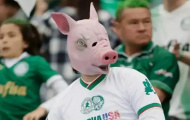 Tại sao Palmeiras và CĐV đeo mặt nạ heo ăn mừng FIFA Club World Cup
