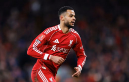 Liverpool bán Gakpo dọn chỗ đón sao 100 triệu bảng