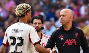 Ekitike có thể đá lệch trái trong sơ đồ của Arne Slot