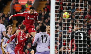 Liverpool 2-0 Brighton: Cú đúp của Ekitike và ngày về hoàn hảo của Salah