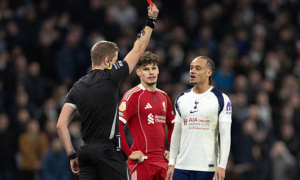 Liverpool đấu Tottenham: Sturridge bênh vực Simons, thống kê ủng hộ The Kop