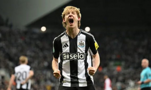 Arsenal nhắm Gordon giá 60 triệu bảng thay Martinelli