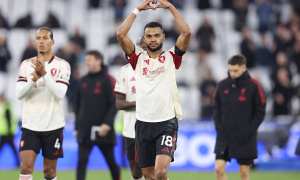 Bayern trở lại săn Gakpo giá 75 triệu euro