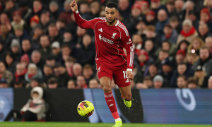 Slot đã đúng khi kiên nhẫn với Gakpo