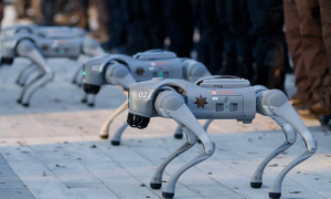 Mexico tung biệt đội chó Robot để giữ an ninh World Cup